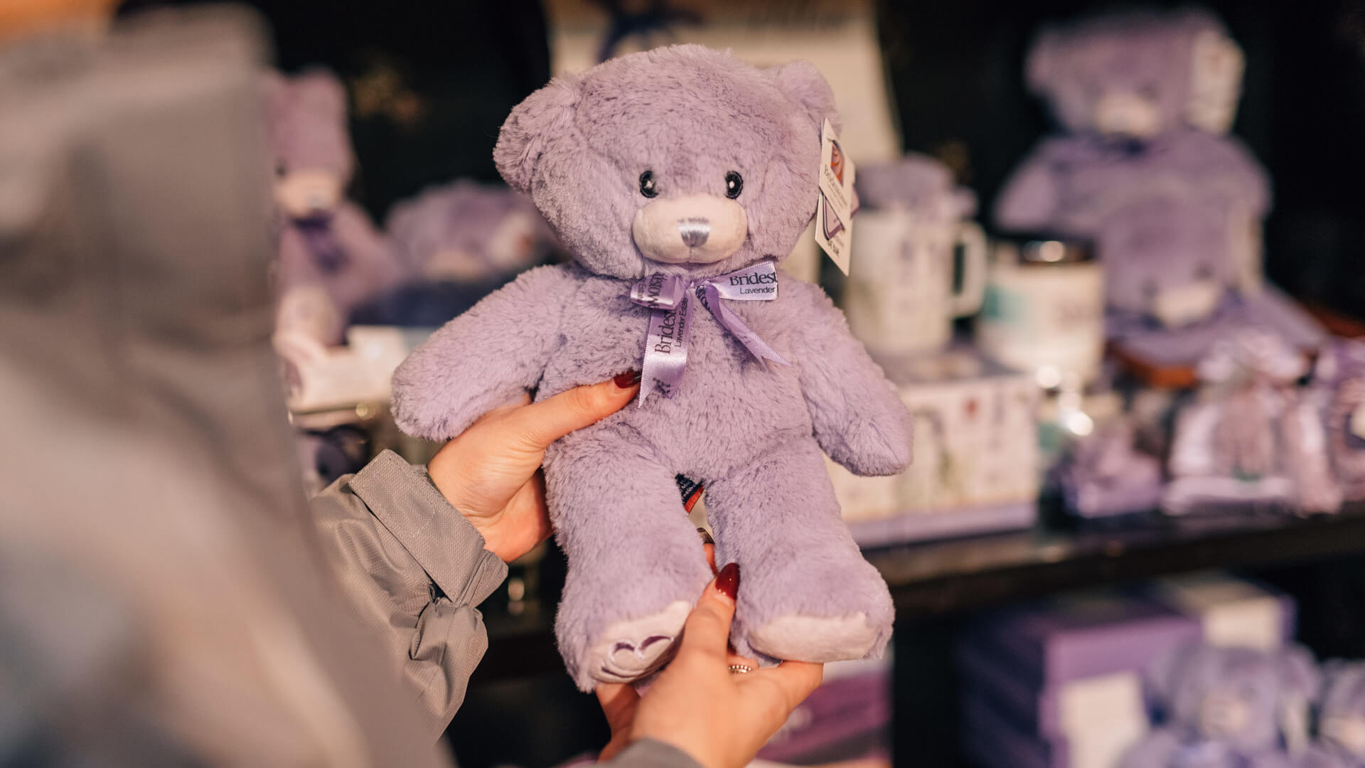 Woman holding a Lavendar Bear from Bridestowe Estate in the Country Club Collectables Gift Shop