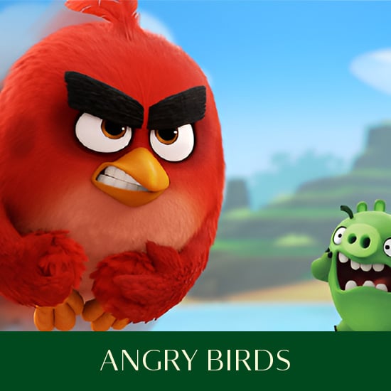 toptracer-games-550x550-angry-birds