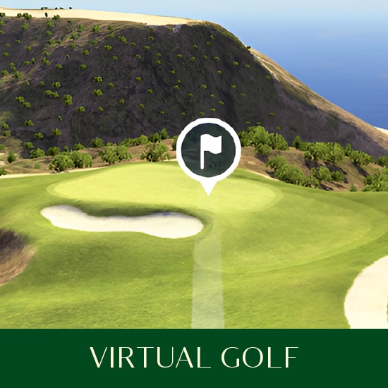 toptracer-games-550x550-virtual-golf