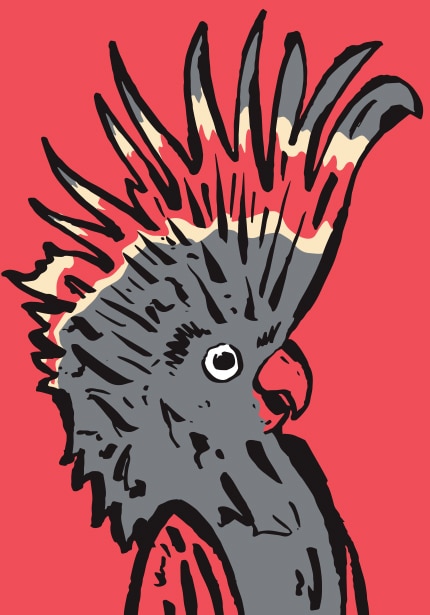 Melbourne Int Comedy