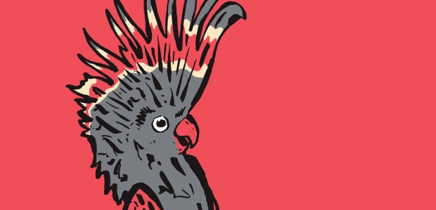 Melbourne Int Comedy